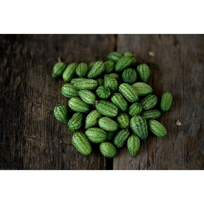 Mexican Sour Gherkin (Cucamelon) Cucumber Seeds - Heirloom – Hometown Seeds