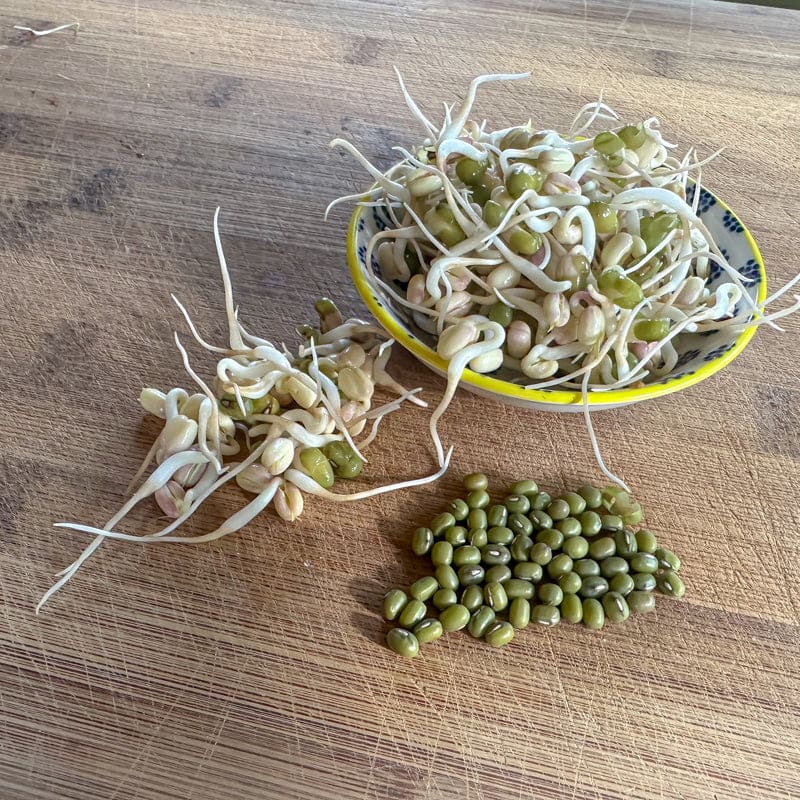 Mung Bean Sprouting Seed (Organic)