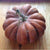 Musquee De Provence Pumpkin (Heirloom 100-110 Days) - Vegetables