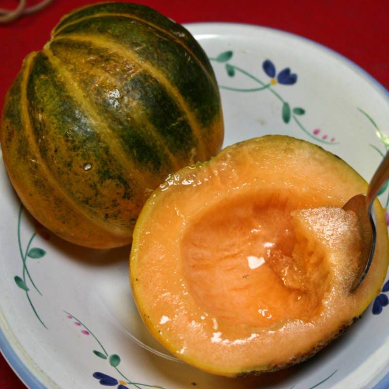 Noir De Carmes Melon (Organic Heirloom 80 Days) - Vegetables
