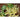 Opal Creek Snap Pea ( 70 Days ) - Vegetables