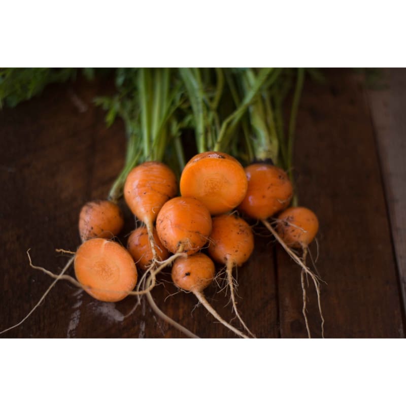 Parisian Carrot (Heirloom 55 days) - Vegetables