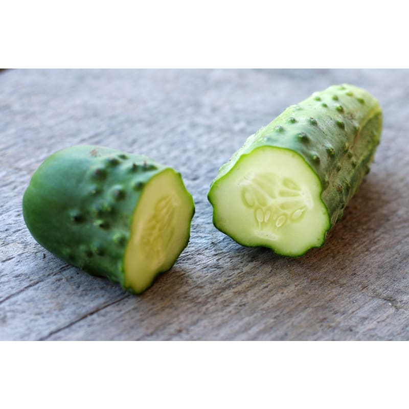 Parisian Pickle Cucumber (Heirloom 50 Days) - Vegetables