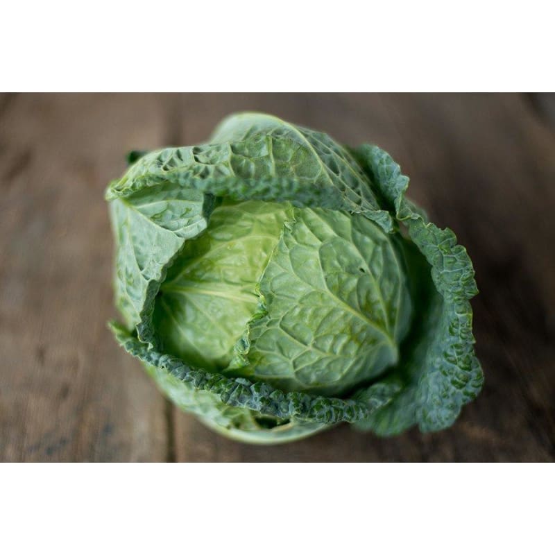 Perfection Savoy Cabbage (Heirloom 95 Days) - Vegetables