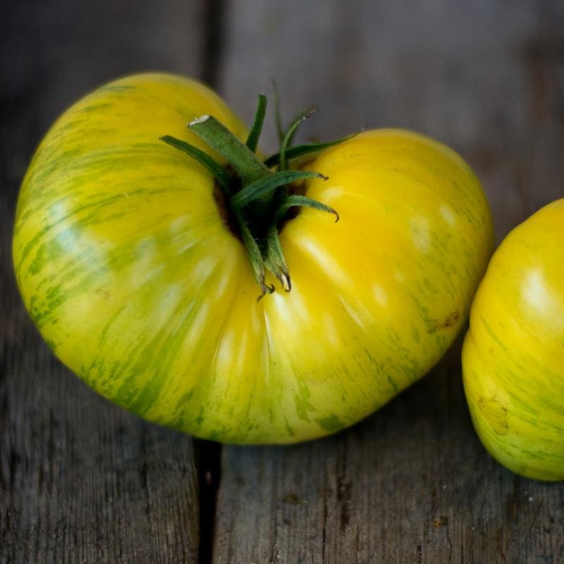Pork Chop Tomato (Organic 80 Days) - Vegetables