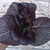 Purple Pak Choi (F1 Hybrid 47 Days) - Vegetables