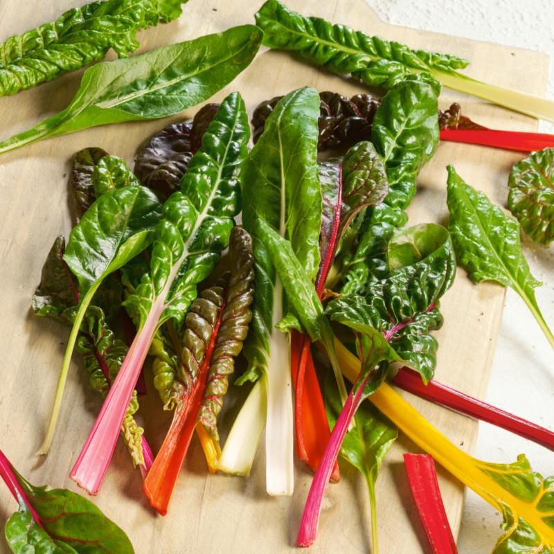 Rainbow Blend Chard (Organic 55 Days) - Vegetables