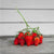 Rainbow Treasure Strawberry ( F1 Hybrid ) - Vegetables