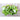 Red Gruner Purslane (50 Days) - Vegetables