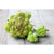 Romanesco Cauliflower ( 80 Days ) - Vegetables