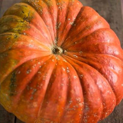 Rouge Vif D’Etampes Pumpkin (Heirloom 105 Days) - Vegetables