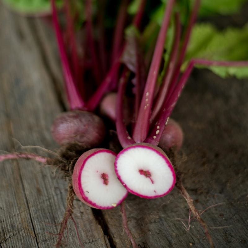 Scarlet Ohno Revival Turnip (Organic 50 Days) - Vegetables