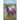 Serena Mix Angelonia - Flowers