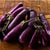 Slim Jim Eggplant (60 Days) - Vegetables