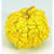 Small Warted Gourd Mix (100 Days) - Vegetables