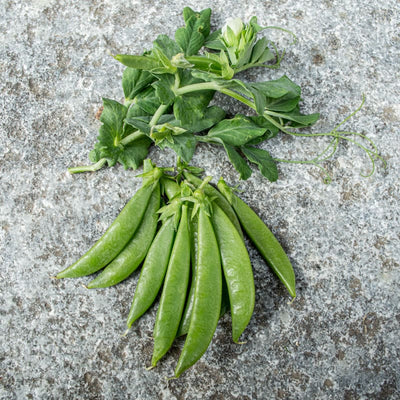 Snak Hero Pea (65 Days) - Vegetables