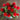 Strawberry Fields Gomphrena - Flowers