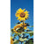 Sunflower - Kong - Flowers