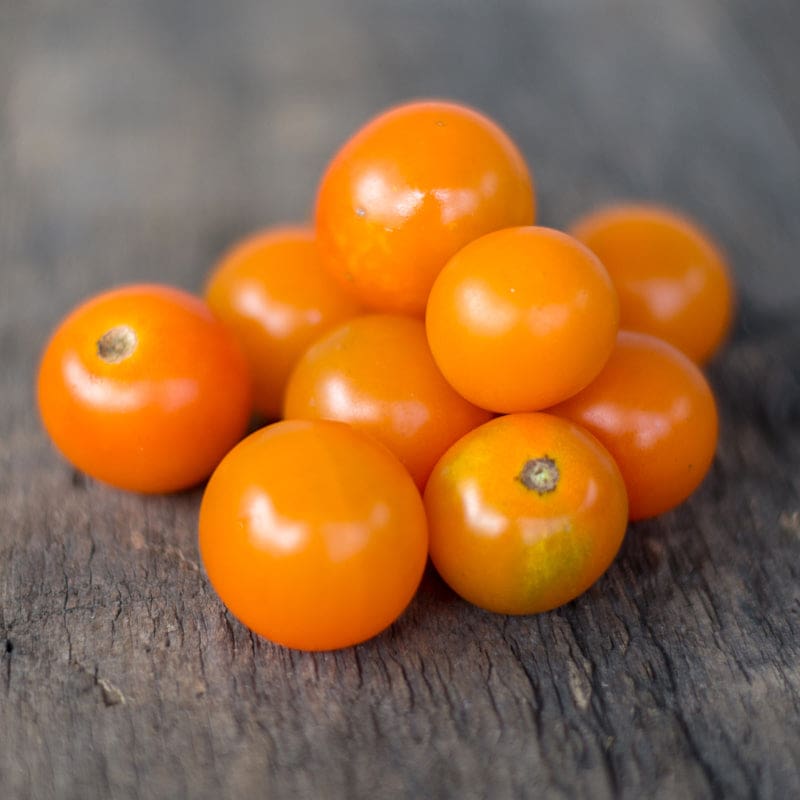 http://www.superseeds.com/cdn/shop/products/sungold-tomato-f1-hybrid-60-days-vegetables-pinetree-garden-seeds-328.jpg?v=1666378569