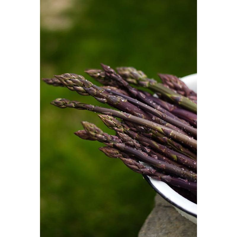 Sweet Purple Asparagus - Vegetables
