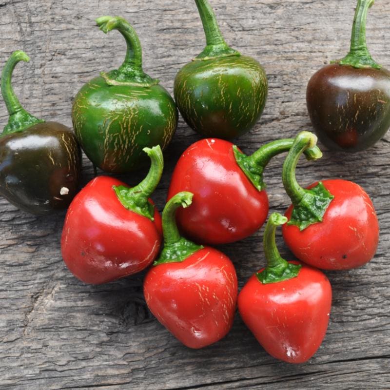 red pepper seeds planting Sweet Red Cherry Pepper (75 Days)