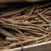TAKINOGAWA LONG BURDOCK (120 days) (HEIRLOOM) - Vegetables
