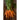 Tendersweet Carrot (Heirloom 70 Days) - Vegetables