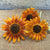 Velvet Queen Sunflower - Flowers