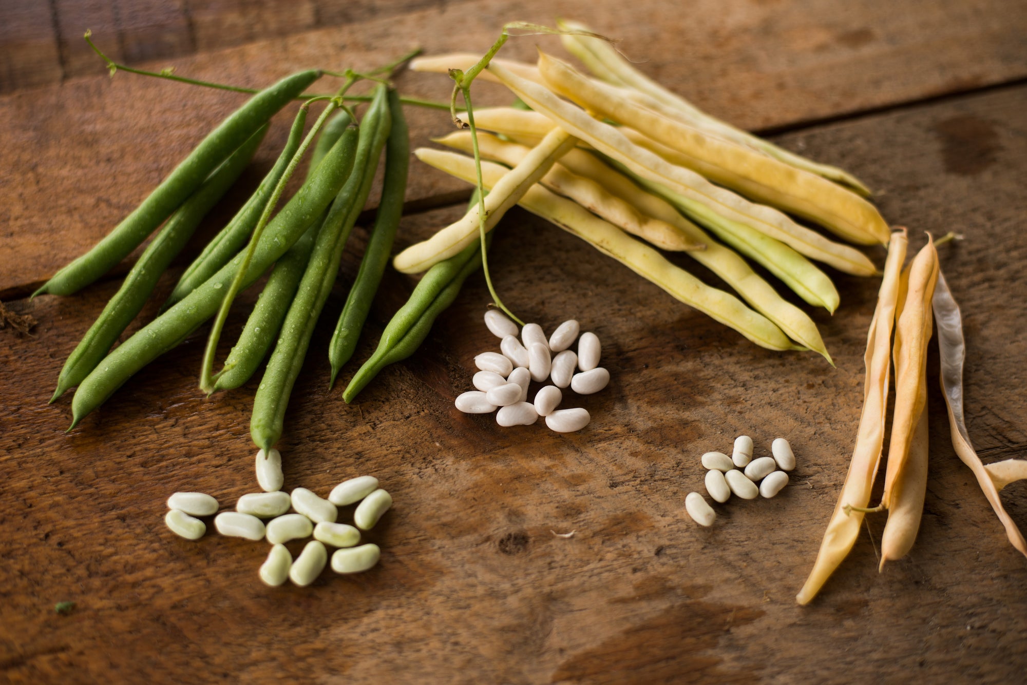 We've bean thinking a lot about these legumes..