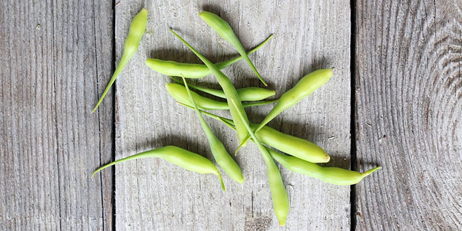Radish Pods: What to do When a Good Radish Goes to Seed
