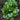 Spinach Seeds