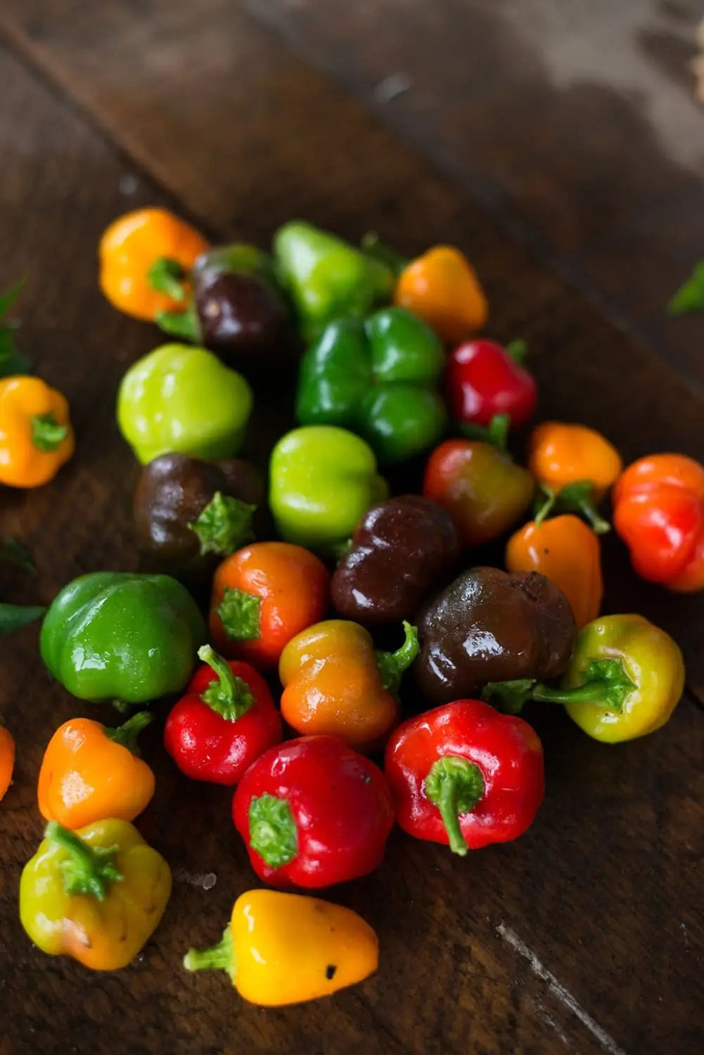 Sweet Peppers – Page – Pinetree Garden Seeds