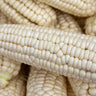 Close-up of several pale ivory corn cobs with tightly packed kernels filling the frame.