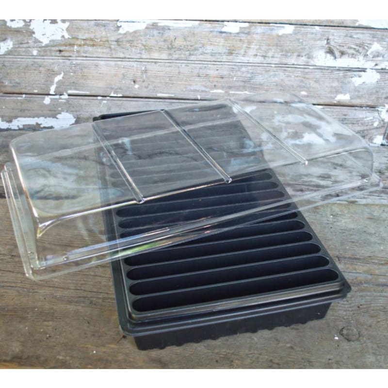 seed planting flats 20 Row Seedling Flat (1 Tray)