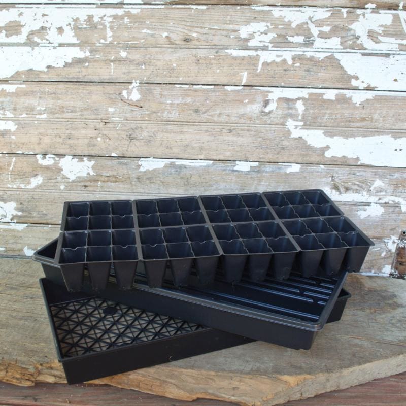 806 Insert (5) – Pinetree Garden Seeds