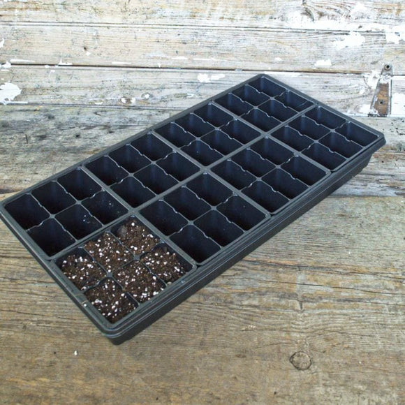 806 Insert (5) – Pinetree Garden Seeds