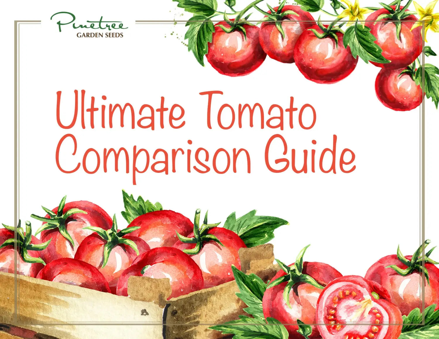 Ultimate Tomato Comparison Guide