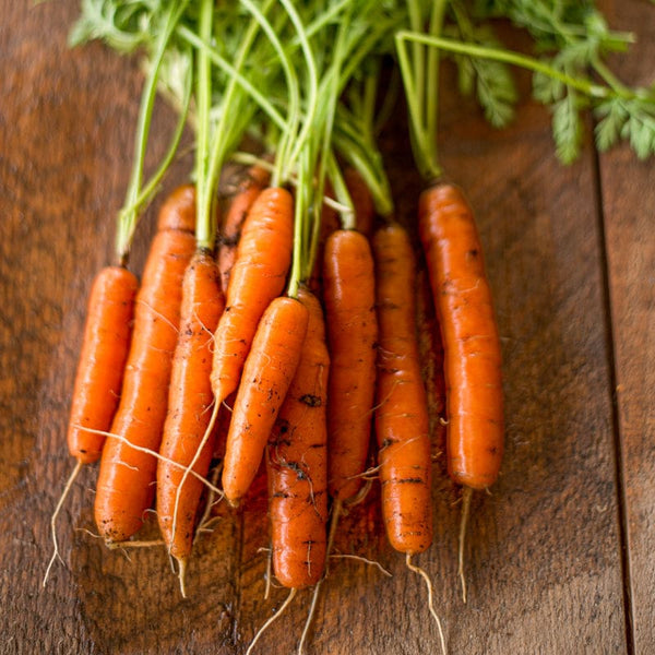 新品 HYPER Carrots 東芝 Green Giant Simply Steam Sauced Veggies Honey Glazed Carrots, 8 oz