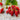 Alexandria Alpine Strawberry (100-120 Days) - Vegetables