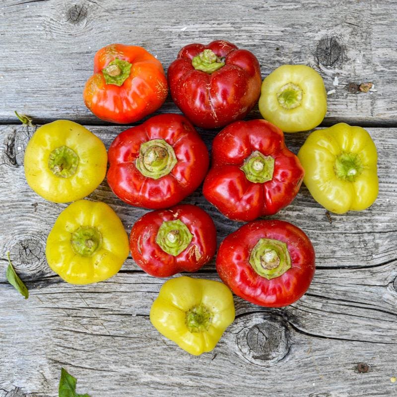 paprika plant seeds Alma Paprika Pepper (70 Days)
