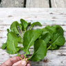 Amara Greens (21-40 Days) - Vegetables
