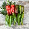 Anaheim Hot Pepper (Heirloom 80 Days) - Vegetables