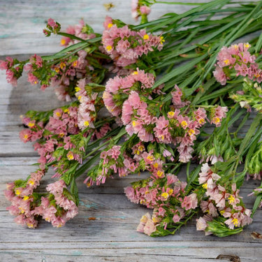 Apricot Shades Statice - Flowers