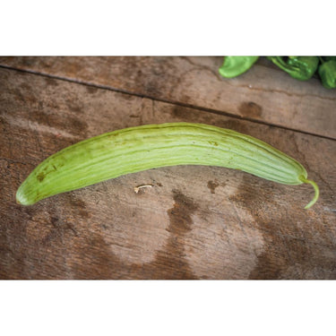 Armenian Cucumber (Heirloom 90 Days) - Vegetables