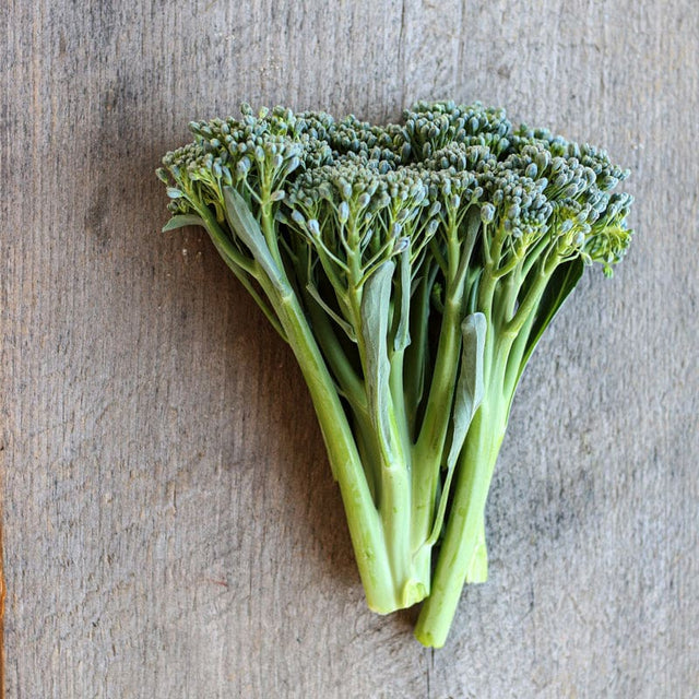 All Vegetables Garden Seeds