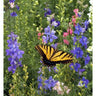 Bird and Butterfly Garden Mix (1 oz) - Flowers