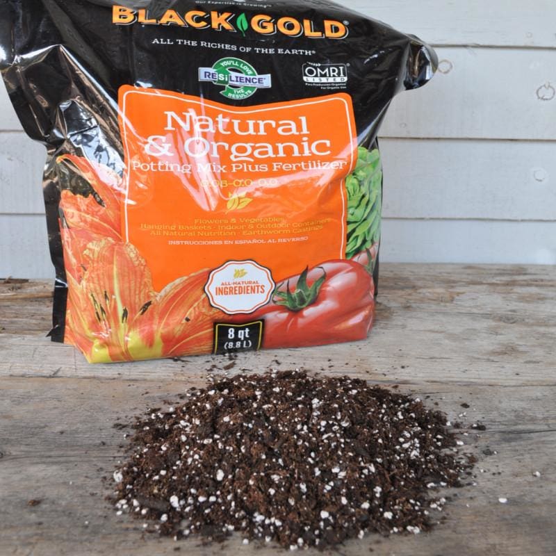 Black Gold Natural and Organic Potting Soil - Supplies