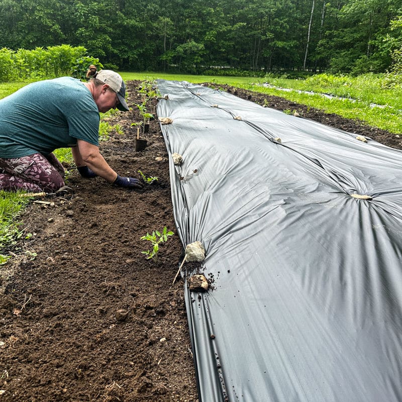 planting with black plastic Black Plastic Mulch – Pinetree Garden Seeds