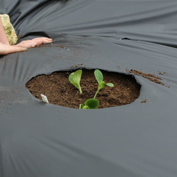 Black Plastic Mulch – Pinetree Garden Seeds