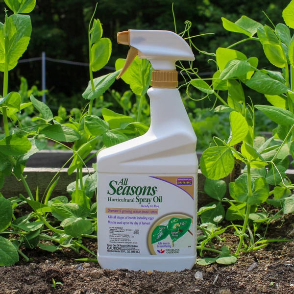 garden oil spray Bonide All Seasons Horticultural Spray Oil, 1 Qt